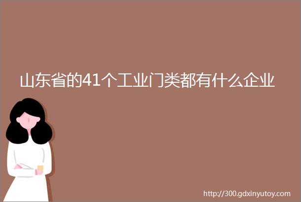 山东省的41个工业门类都有什么企业