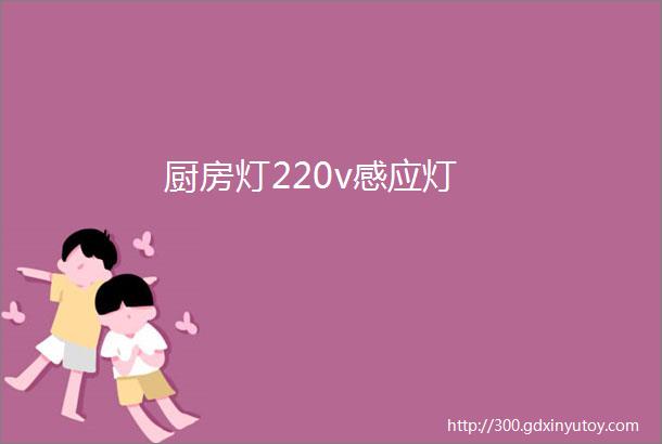 厨房灯220v感应灯