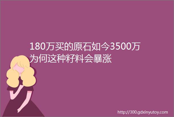 180万买的原石如今3500万为何这种籽料会暴涨