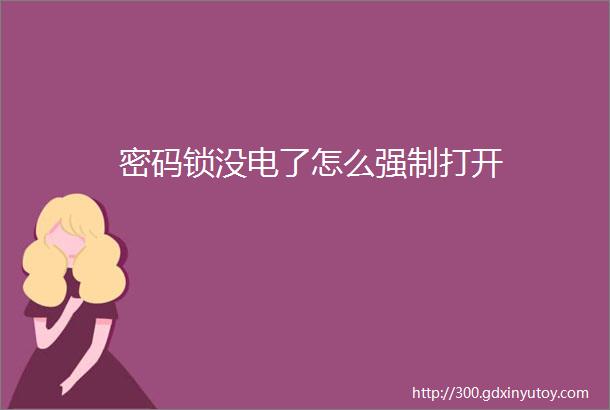 密码锁没电了怎么强制打开