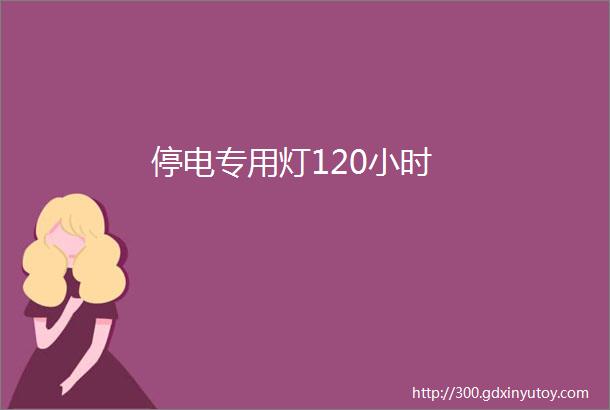 停电专用灯120小时