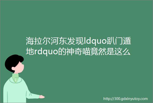 海拉尔河东发现ldquo趴门遁地rdquo的神奇喵竟然是这么来的