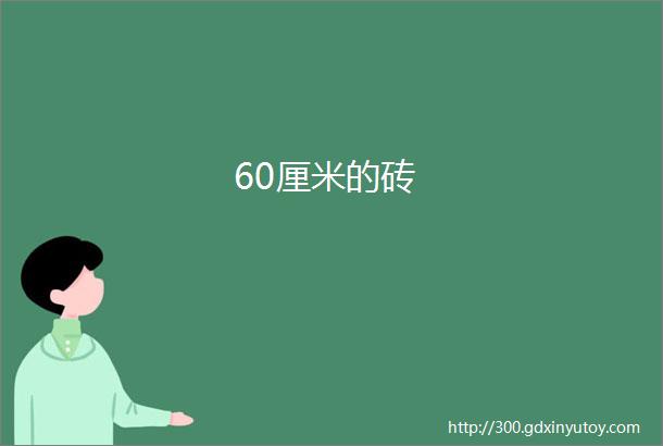 60厘米的砖