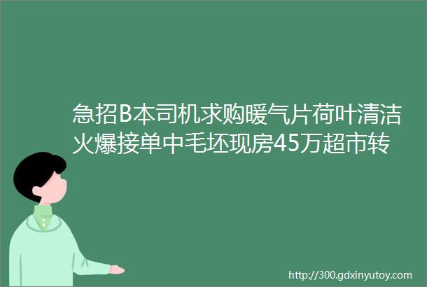 急招B本司机求购暖气片荷叶清洁火爆接单中毛坯现房45万超市转让