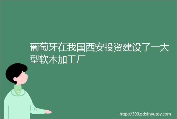 葡萄牙在我国西安投资建设了一大型软木加工厂