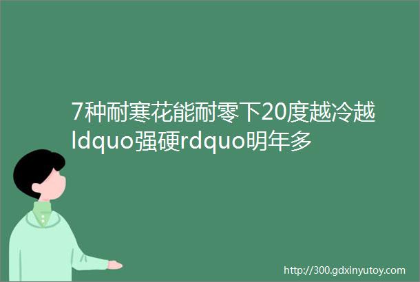 7种耐寒花能耐零下20度越冷越ldquo强硬rdquo明年多开一倍花