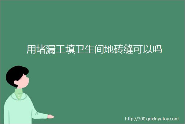 用堵漏王填卫生间地砖缝可以吗