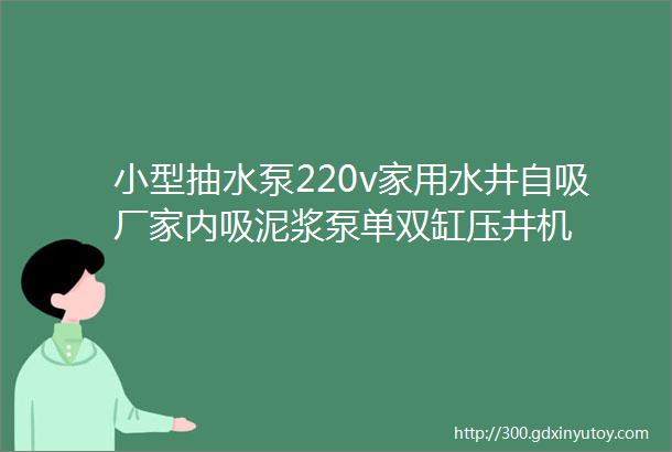 小型抽水泵220v家用水井自吸厂家内吸泥浆泵单双缸压井机