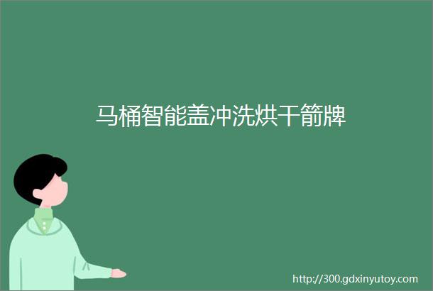 马桶智能盖冲洗烘干箭牌