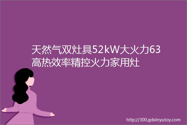 天然气双灶具52kW大火力63高热效率精控火力家用灶