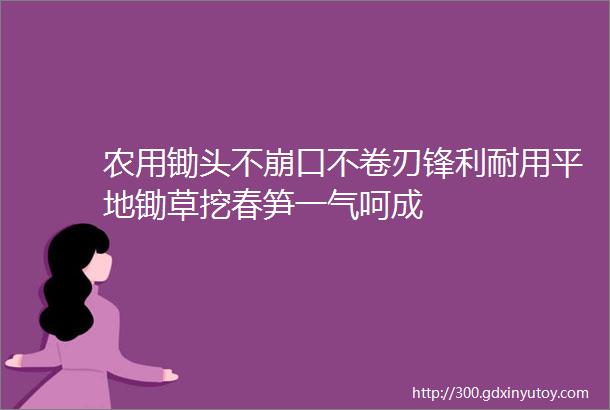 农用锄头不崩口不卷刃锋利耐用平地锄草挖春笋一气呵成