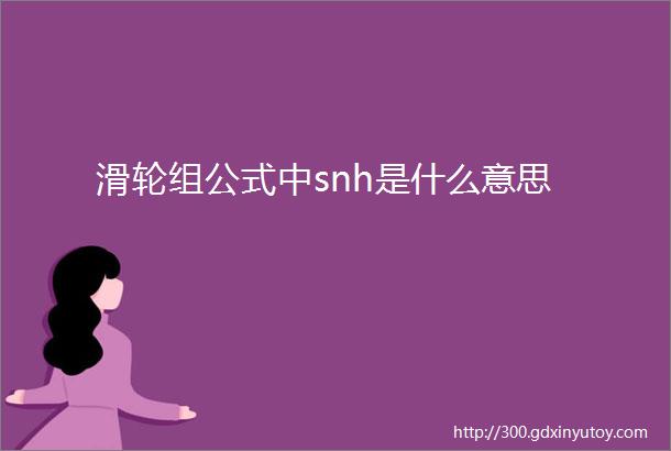 滑轮组公式中snh是什么意思