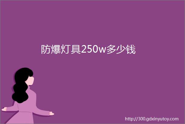 防爆灯具250w多少钱