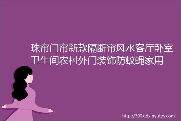 珠帘门帘新款隔断帘风水客厅卧室卫生间农村外门装饰防蚊蝇家用