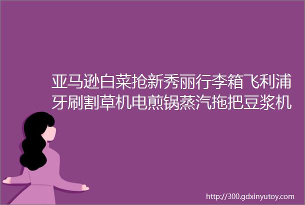 亚马逊白菜抢新秀丽行李箱飞利浦牙刷割草机电煎锅蒸汽拖把豆浆机