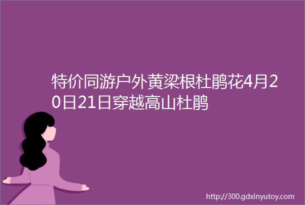 特价同游户外黄梁根杜鹃花4月20日21日穿越高山杜鹃