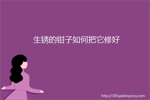 生锈的钳子如何把它修好