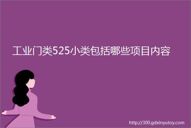 工业门类525小类包括哪些项目内容