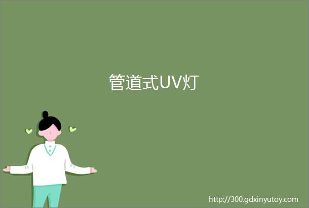 管道式UV灯