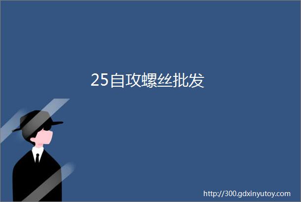 25自攻螺丝批发