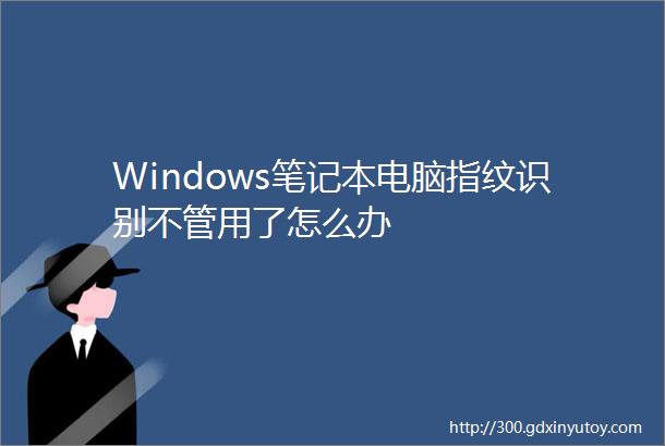 Windows笔记本电脑指纹识别不管用了怎么办