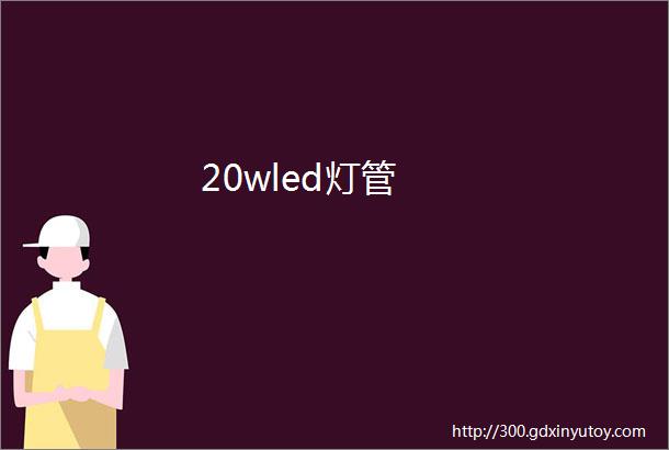 20wled灯管