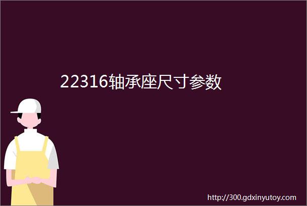 22316轴承座尺寸参数