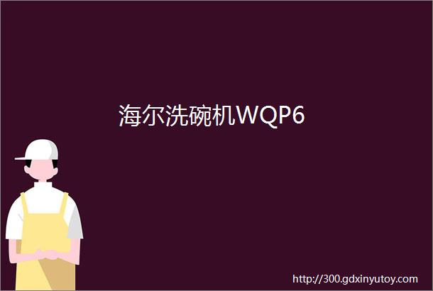 海尔洗碗机WQP6