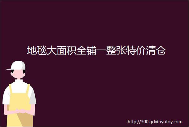 地毯大面积全铺一整张特价清仓