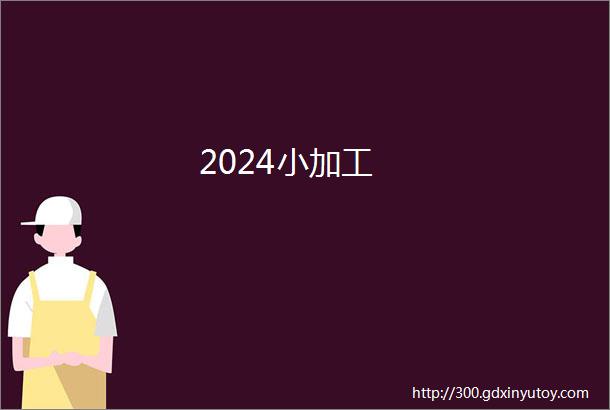 2024小加工