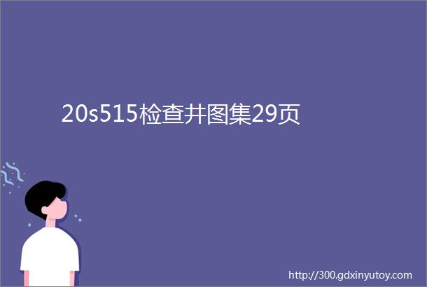 20s515检查井图集29页