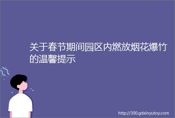 关于春节期间园区内燃放烟花爆竹的温馨提示