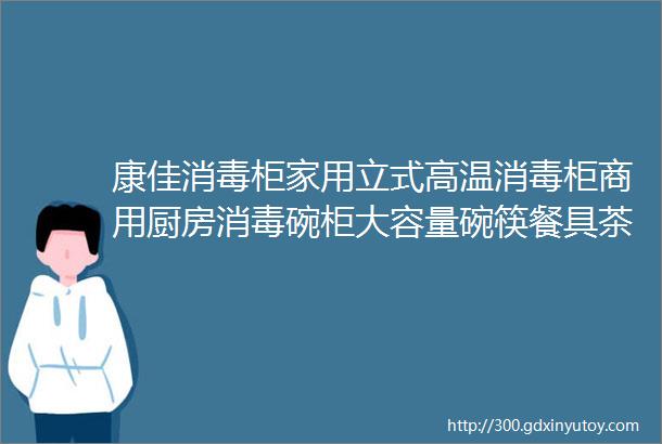 康佳消毒柜家用立式高温消毒柜商用厨房消毒碗柜大容量碗筷餐具茶杯消毒柜双门分控消毒机器二星级85L双门上2层下3层