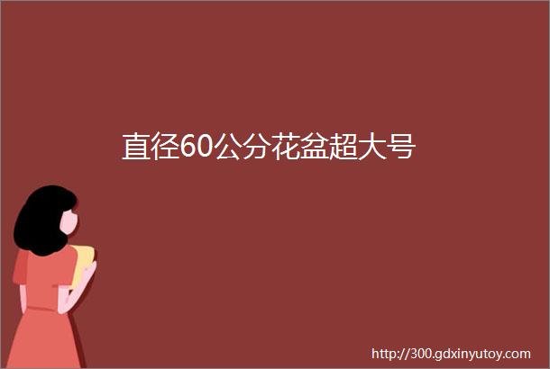 直径60公分花盆超大号