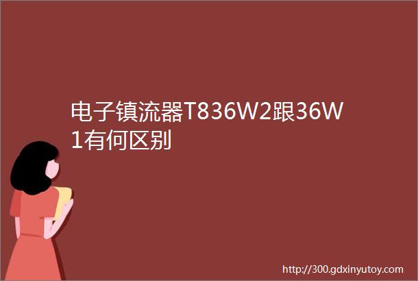 电子镇流器T836W2跟36W1有何区别