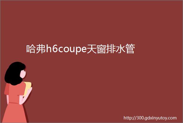 哈弗h6coupe天窗排水管