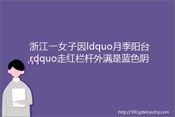 浙江一女子因ldquo月季阳台rdquo走红栏杆外满是蓝色阴雨实名羡慕