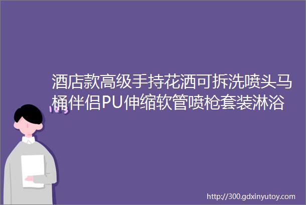 酒店款高级手持花洒可拆洗喷头马桶伴侣PU伸缩软管喷枪套装淋浴管