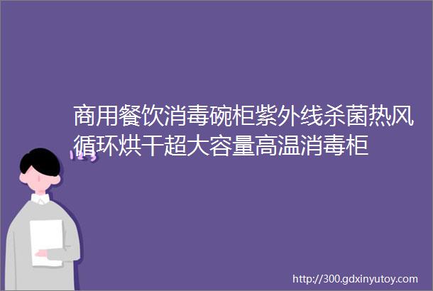 商用餐饮消毒碗柜紫外线杀菌热风循环烘干超大容量高温消毒柜