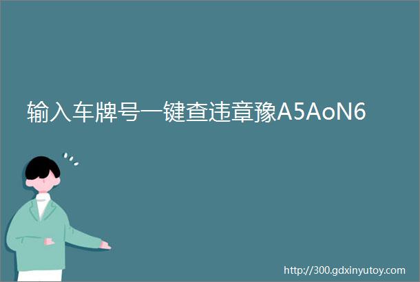 输入车牌号一键查违章豫A5AoN6