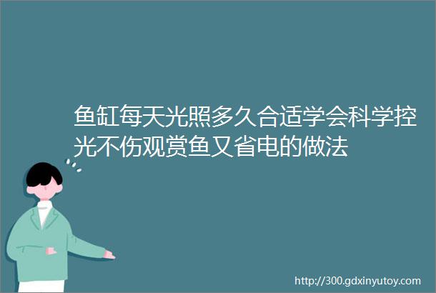 鱼缸每天光照多久合适学会科学控光不伤观赏鱼又省电的做法